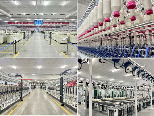 數智世界亮相2024年紡紗技術高峰論壇 分享新材料技術開發與智慧工廠實踐